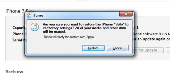 Cómo eliminar iCloud de iPad sin contraseña a través del modo DFU