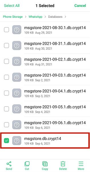 Crypt whatsapp backup.jpg