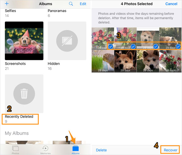 Cómo obtener fotos eliminadas recientemente del álbum recientemente eliminado