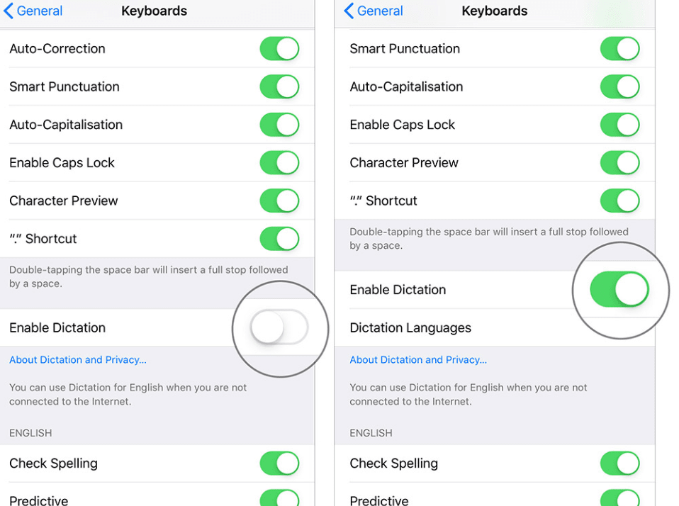 Iphone enable dictation 1 1.png