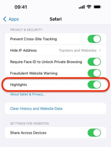     iOS-18-18-Safari-No-workinglight