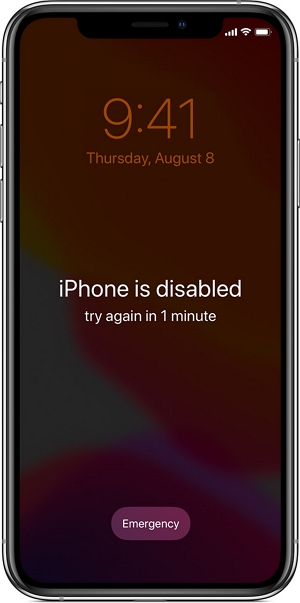 Iphone disabled.jpg