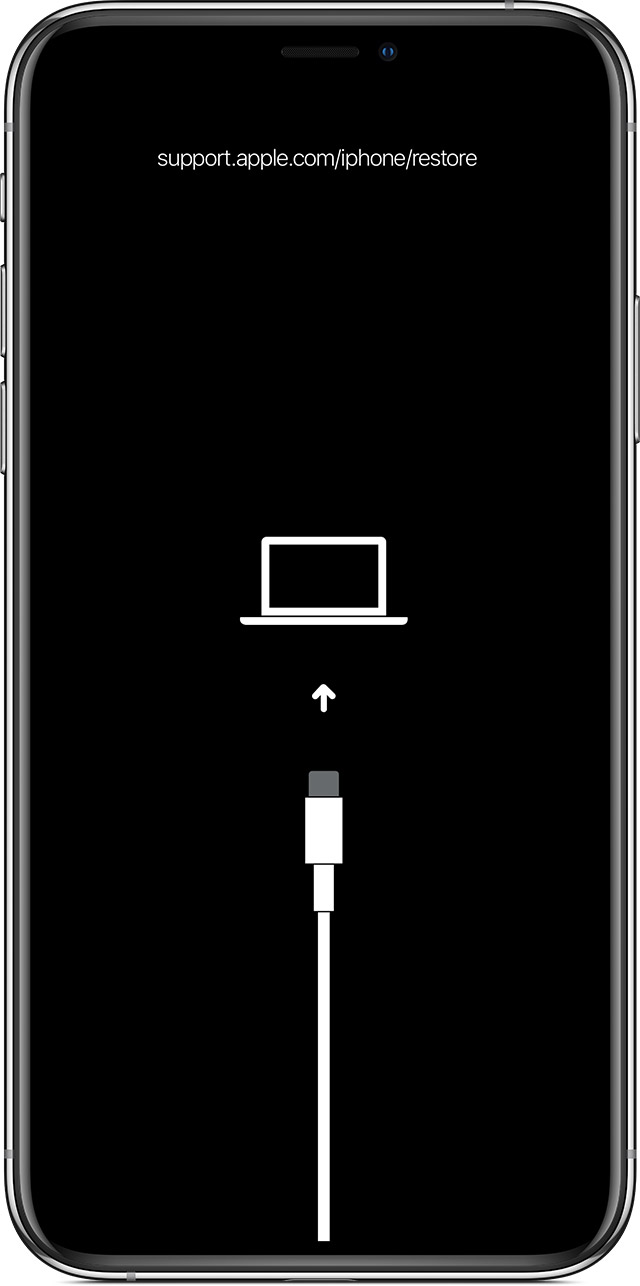 Iphone recovery mode screen.jpg