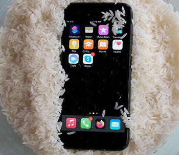 iPhone pudo en arroz