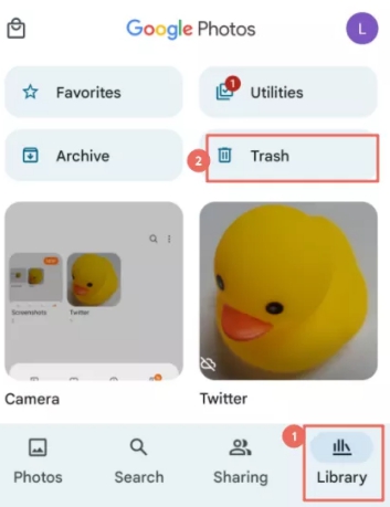 Recover from google photo.jpg