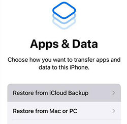 Recovergo a través de iCloud