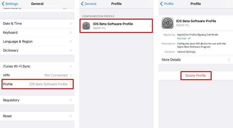iPhone no puede verificar la actualización Eliminar los perfiles beta