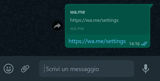 Whatsapp crash link.jpg